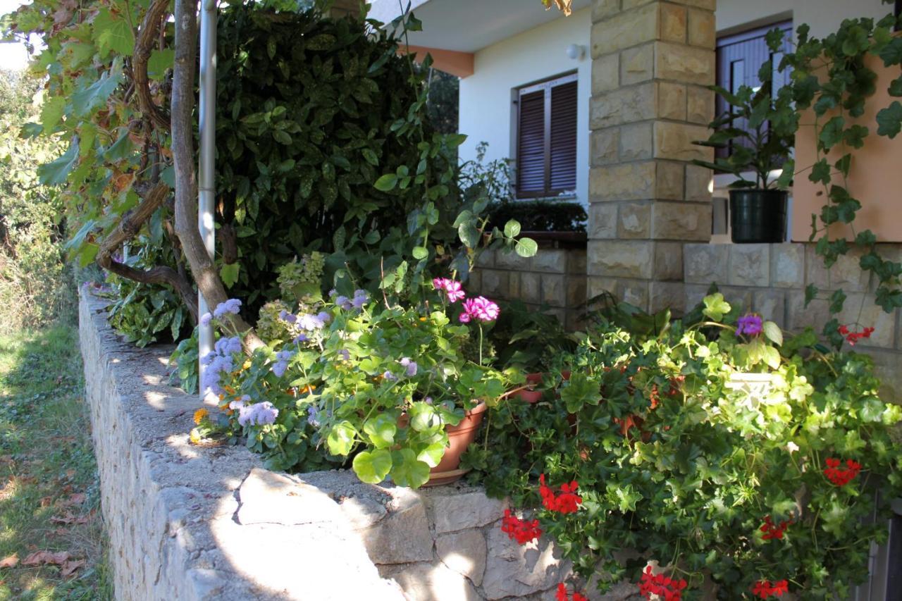 Family Friendly Seaside Apartments Kozino, Zadar - 5749 佩特坎内 外观 照片